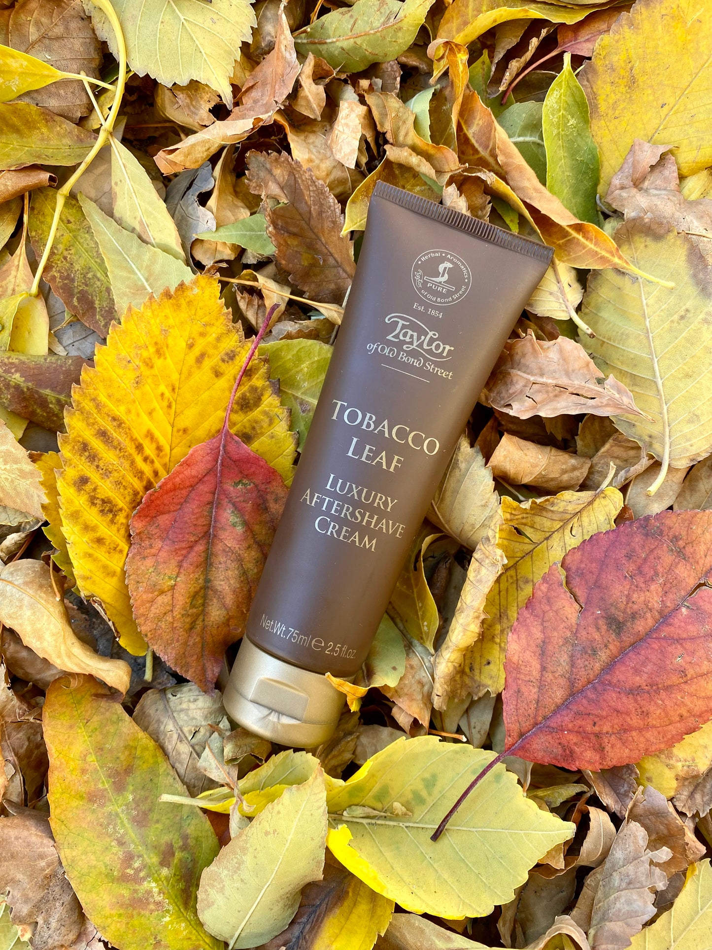 Taylor of Old Bond Street Tobacco Leaf Aftershave Cream from Taylor of Old Bond Street