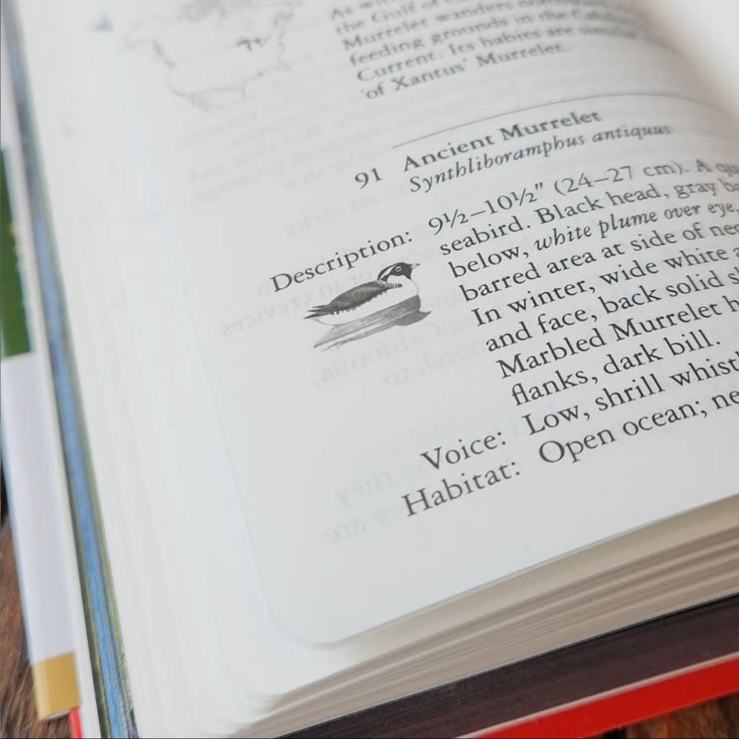 National Audubon Society Field Guide to North American Birds - Western Region Revised Edition from Penguin Random House