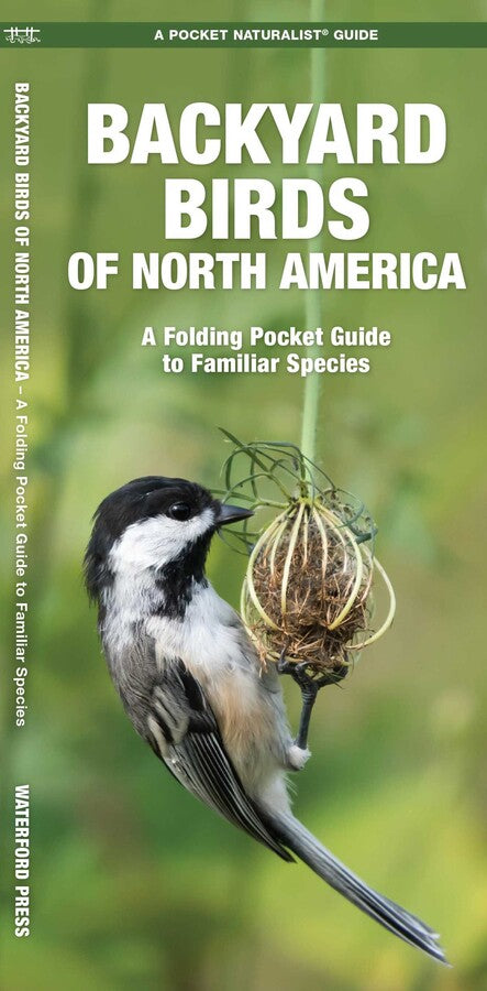Cover of the Pocket Naturalist Guide: Backyard Birds of North America, featuring a small black-and-white bird perched on a plant stem against a softly blurred green background—ideal for bird watching enthusiasts.