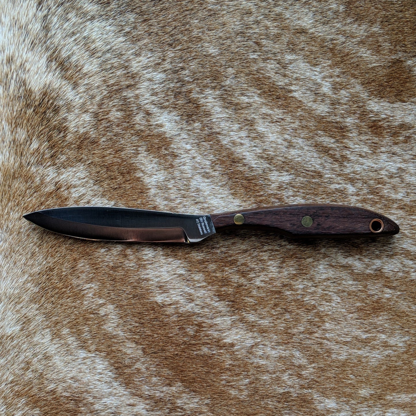 Grohmann D.H. Russell Belt Knife #2 Trout & Bird with Rosewood handle, regular sheath from Grohmann