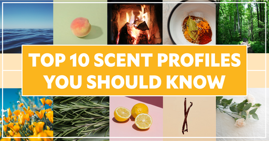 Top 10 Scent Profiles You Should Know!