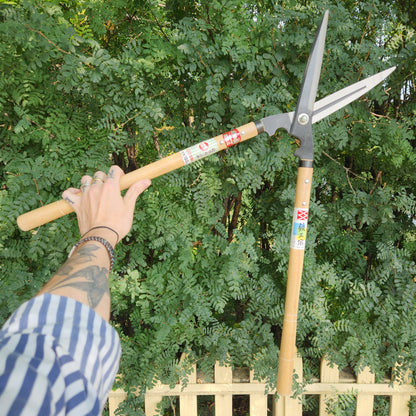 Hand holding Yoshioka Shirogami Hedge Shears with long wooden handles and metal blades, surrounded by green shrubbery, reflecting Kent of Inglewood's blend of tradition and craftsmanship.