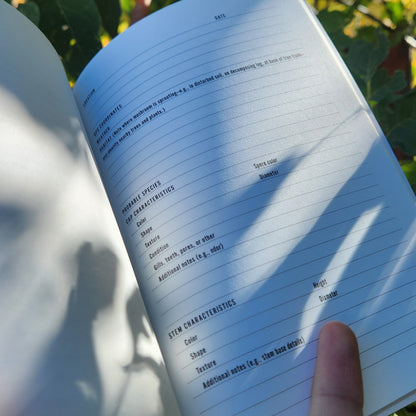 Mushroom Hunter Bundle's field-journal page with headings for foraging notes, dappled sunlight, foliage shadow, fingertip present; ideal for recording mushroom sightings.