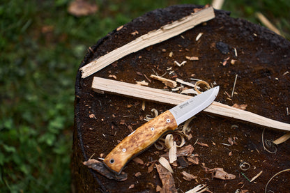 A Helle Bleja knife with a wooden handle lies folded on a tree stump surrounded by wood shavings and split wood pieces, with grass visible in the background.