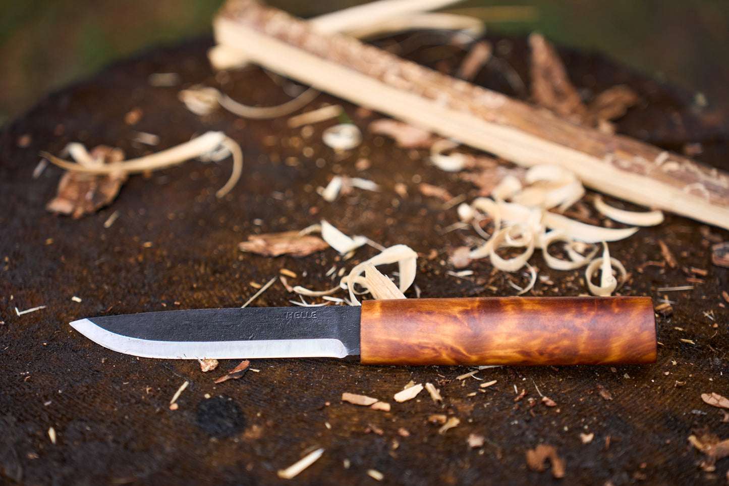 A Helle Knives Viking 110mm Carbon Steel Hunting Knife with a wood handle rests on a tree stump surrounded by wood shavings and a partially carved stick.