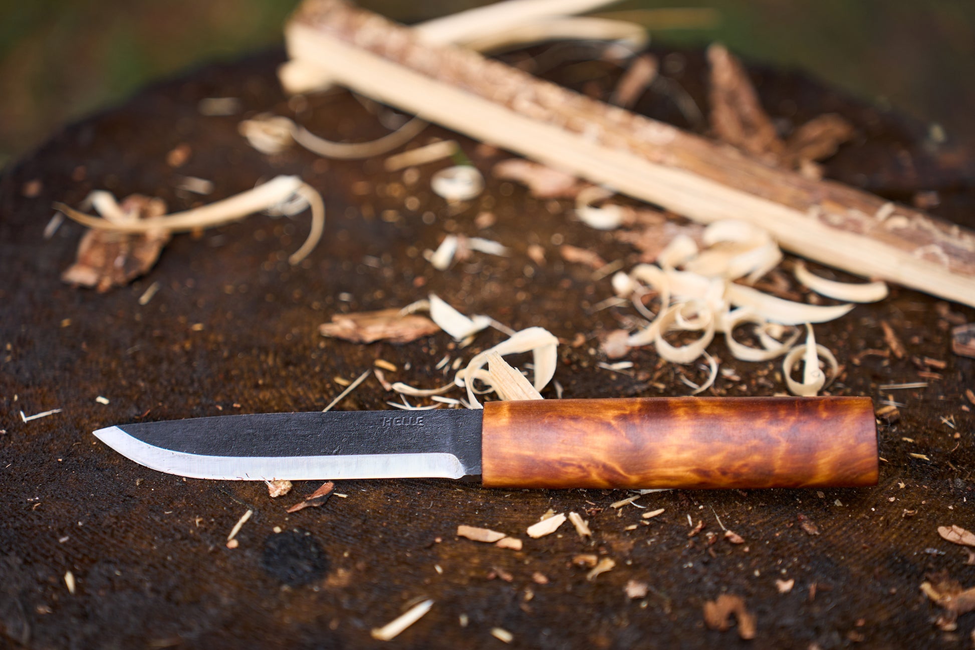 A Helle Knives Viking 110mm Carbon Steel Hunting Knife with a wood handle rests on a tree stump surrounded by wood shavings and a partially carved stick.