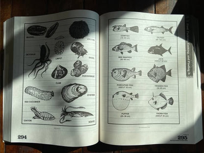 Survival Wisdom & Know-How guide's sea creatures section features line drawings of mollusks, invertebrates, and fish, essential for wilderness subsistence knowledge.