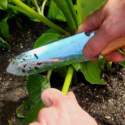 Close-up of hands using a Nisaku Hori Hori Knife to divide a plant stem, showcasing ruler markings on the blade for precise gardening tasks.