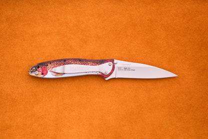 The Kershaw Leek Rainbow Trout is a folding pocket knife featuring a silver blade and a handle adorned with a vibrant ladybug pattern, shown against an orange textured background—an ideal EDC knife for everyday carry enthusiasts who appreciate both style and practicality.