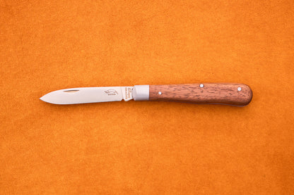 An Otter-Messer Pocket Knife Classic with a sapele wood handle and stainless steel blade lies closed on an orange textured surface.