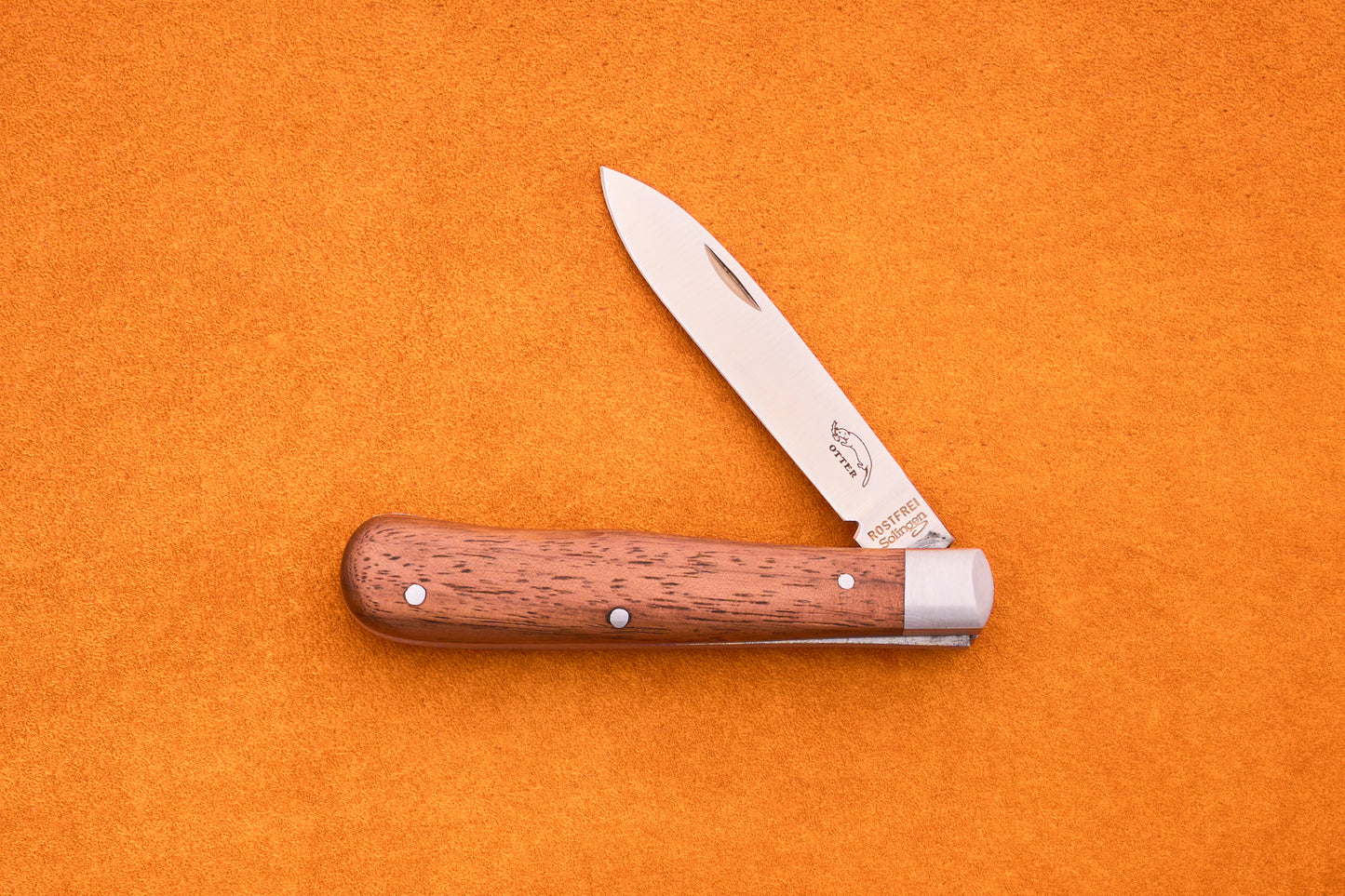 The Otter-Messer Pocket Knife Classic, featuring a sapele wood handle and an open silver blade, is displayed on a bright orange surface.