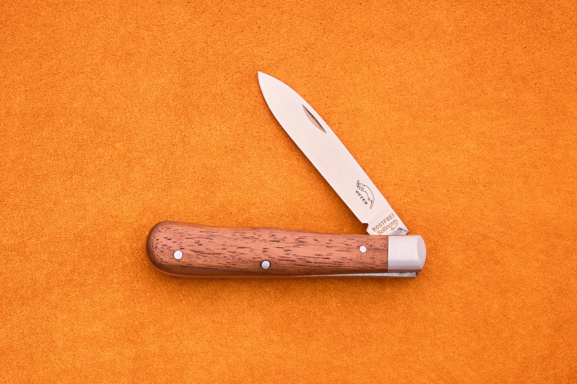 The Otter-Messer Pocket Knife Classic, featuring a sapele wood handle and an open silver blade, is displayed on a bright orange surface.