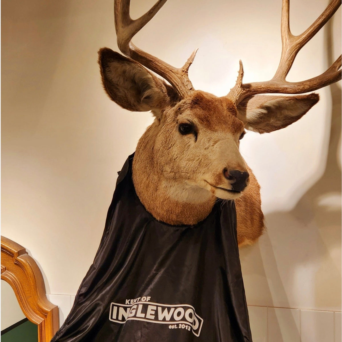 Taxidermy deer head wearing Kent Of Inglewood Beard Bib, illustrating the product's practicality for mess-free beard trimming.