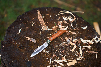 A Grohmann Mini Russell Lockblade with a 4″ clip point and a rosewood handle rests on a tree stump, surrounded by wood shavings and small pieces of bark.