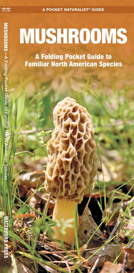 Guidebook cover featuring a large morel mushroom growing in grassy soil. The title reads, Pocket Naturalist Guide: Mushrooms, highlighting mushroom identification for wild mushrooms and familiar North American species, published by Waterford Press.