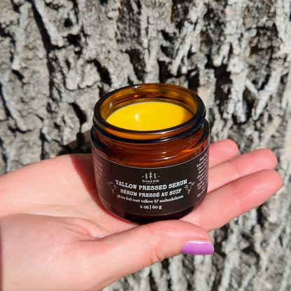 Boreal Folk Tallow Pressed Serum in an amber glass jar, held against tree bark, containing yellow balm for nourishing skin with natural, Canadian ingredients.
