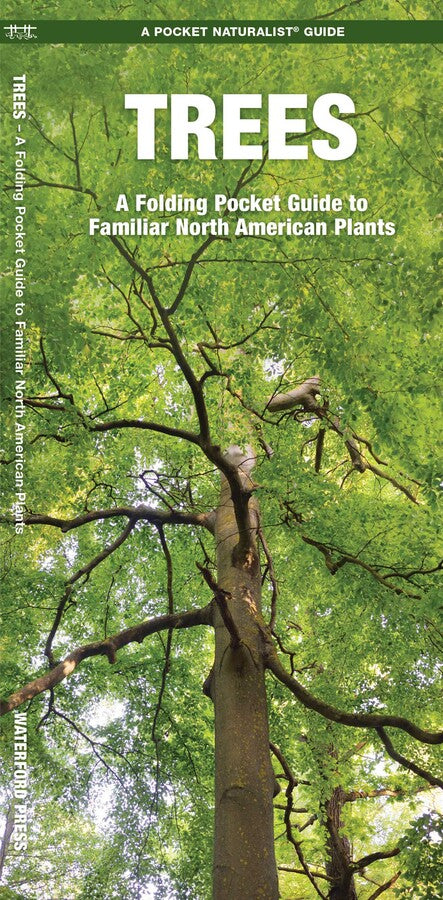 The cover of the Pocket Naturalist Guide: Trees shows a view looking up at a tall tree with green leaves, making it an ideal reference guide for any nature enthusiast.