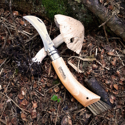 Mushroom Hunter Bundle featuring a freshly foraged mushroom with an Opinel knife on forest floor; includes knife, socks, and logbook for an immersive foraging experience.