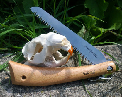 Opinel Folding Saw with wooden handle and stainless steel blade, displayed beside a small rodent skull, ideal for trail clearing and de-limbing.