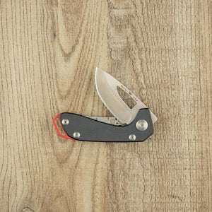 Buck Budgie Folding Knife