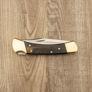 Buck Folding Hunter 110
