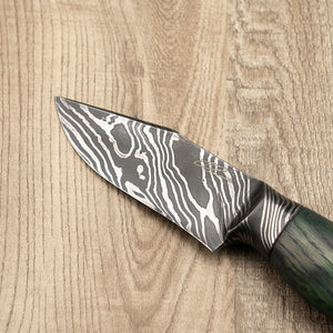 Chris Green Damascus Hunting Knife