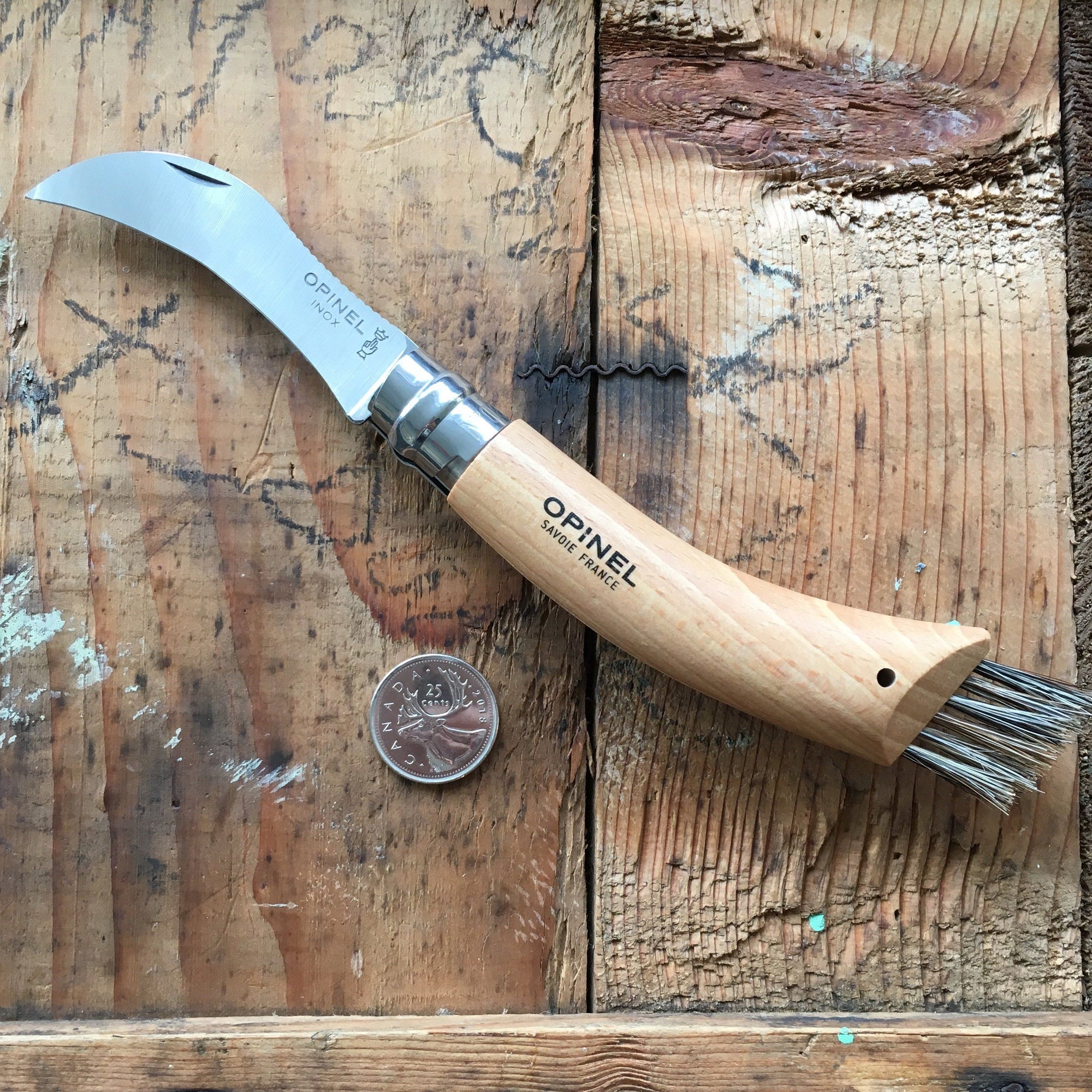 Opinel Mushroom Hunting Knife, Stainless Steel, Beech Wood, Boar's Hair  Bristles. on Food52