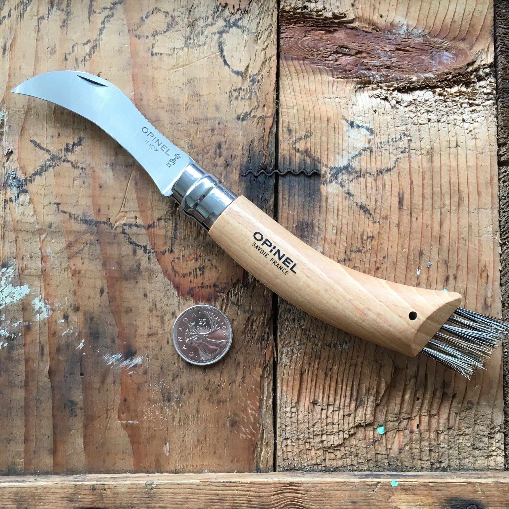 Opinel Inox No.08 Folding Mushroom Hunter’s Knife with Brush